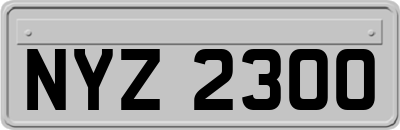 NYZ2300
