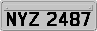 NYZ2487