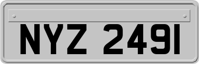 NYZ2491