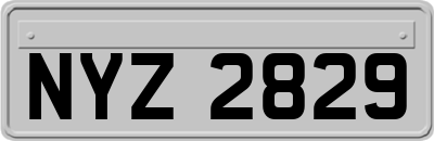 NYZ2829