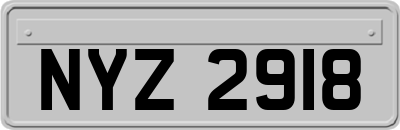NYZ2918