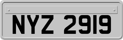NYZ2919