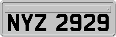 NYZ2929