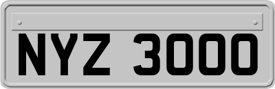 NYZ3000