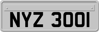 NYZ3001