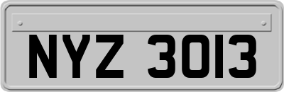 NYZ3013