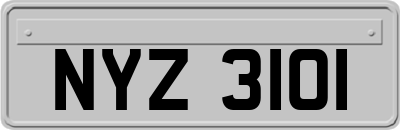 NYZ3101