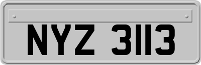 NYZ3113