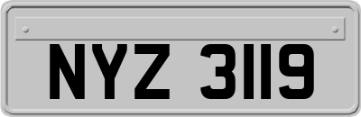 NYZ3119