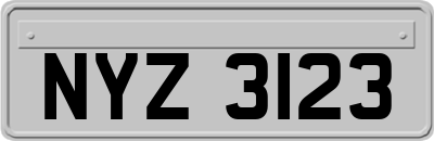 NYZ3123