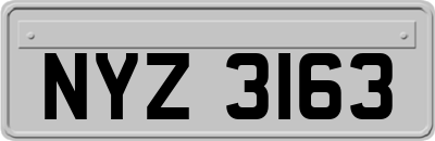 NYZ3163