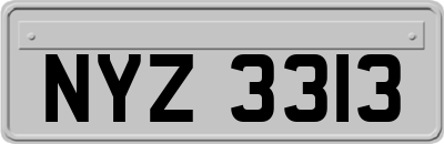 NYZ3313