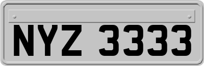 NYZ3333