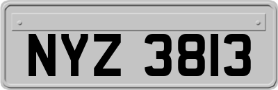 NYZ3813