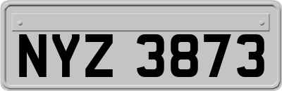 NYZ3873