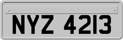 NYZ4213