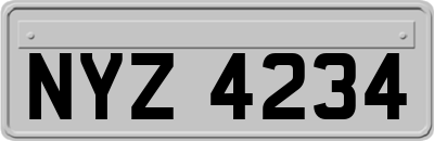 NYZ4234