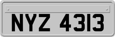 NYZ4313