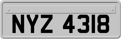 NYZ4318