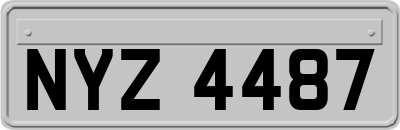 NYZ4487