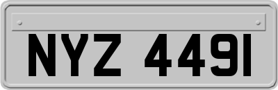 NYZ4491