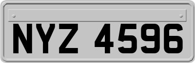 NYZ4596