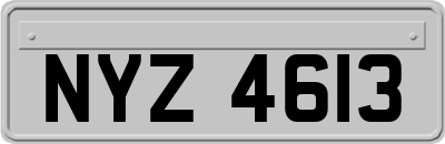 NYZ4613