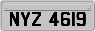 NYZ4619