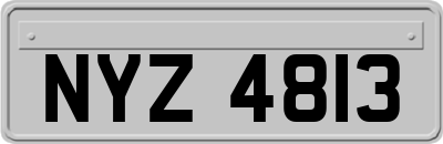 NYZ4813