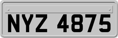 NYZ4875