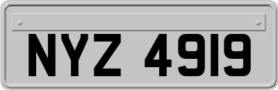 NYZ4919