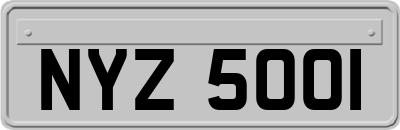NYZ5001