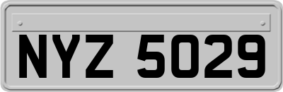NYZ5029