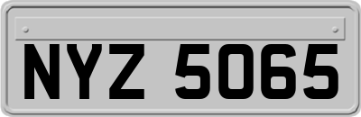 NYZ5065