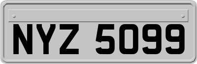 NYZ5099