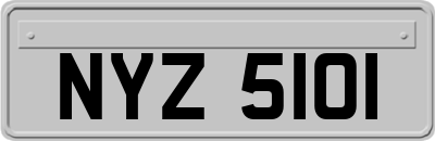 NYZ5101