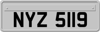 NYZ5119