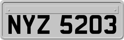 NYZ5203