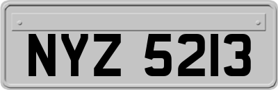 NYZ5213