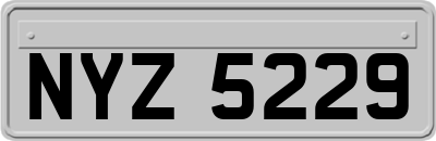 NYZ5229