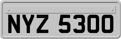 NYZ5300
