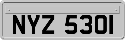 NYZ5301
