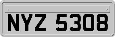 NYZ5308
