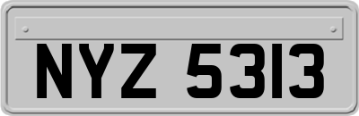 NYZ5313