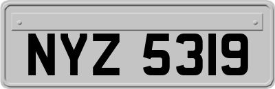 NYZ5319