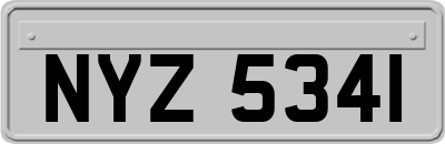 NYZ5341
