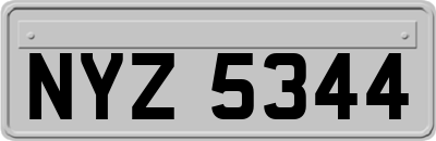 NYZ5344