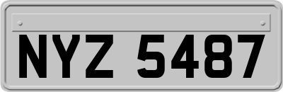 NYZ5487