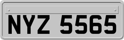 NYZ5565