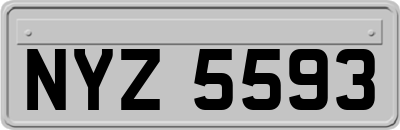 NYZ5593